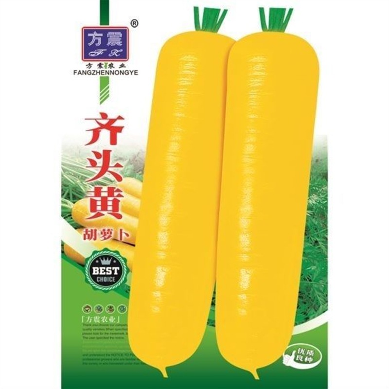 水果型齐头黄胡萝卜种子西洋黄参胡萝卜籽春秋冬播种蔬菜种孑庭院