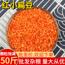 红小扁豆 50斤批发 优质新货番茄红扁豆 小扁豆 马粟豆 杂粮