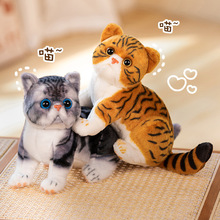 跨境新款加菲猫可爱小猫咪毛绒玩具公仔儿童安抚陪伴宠物抱枕