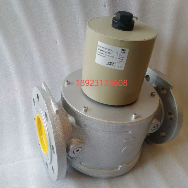 Электромагнитный клапан Ши Нэн SG50RQ/220 SG40RQ/220 SG32RQ/220 SG25RQ/220