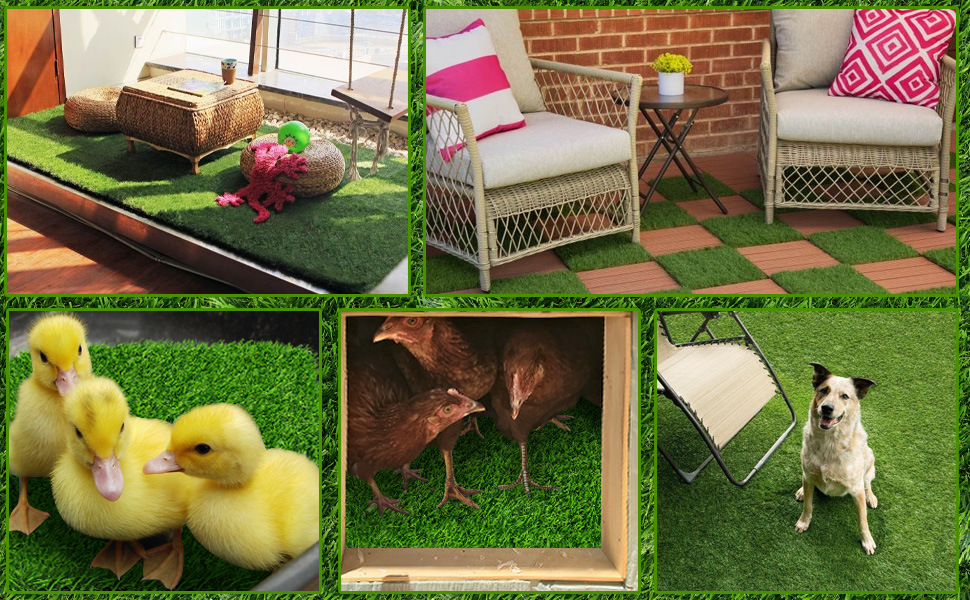 f5bbca0584ba037493d99c144f501e