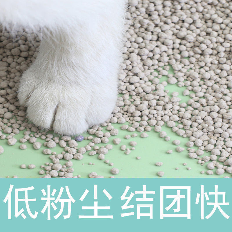 猫砂膨润土除臭斤特价斤多规格猫砂猫咪用品斤一袋|undefined