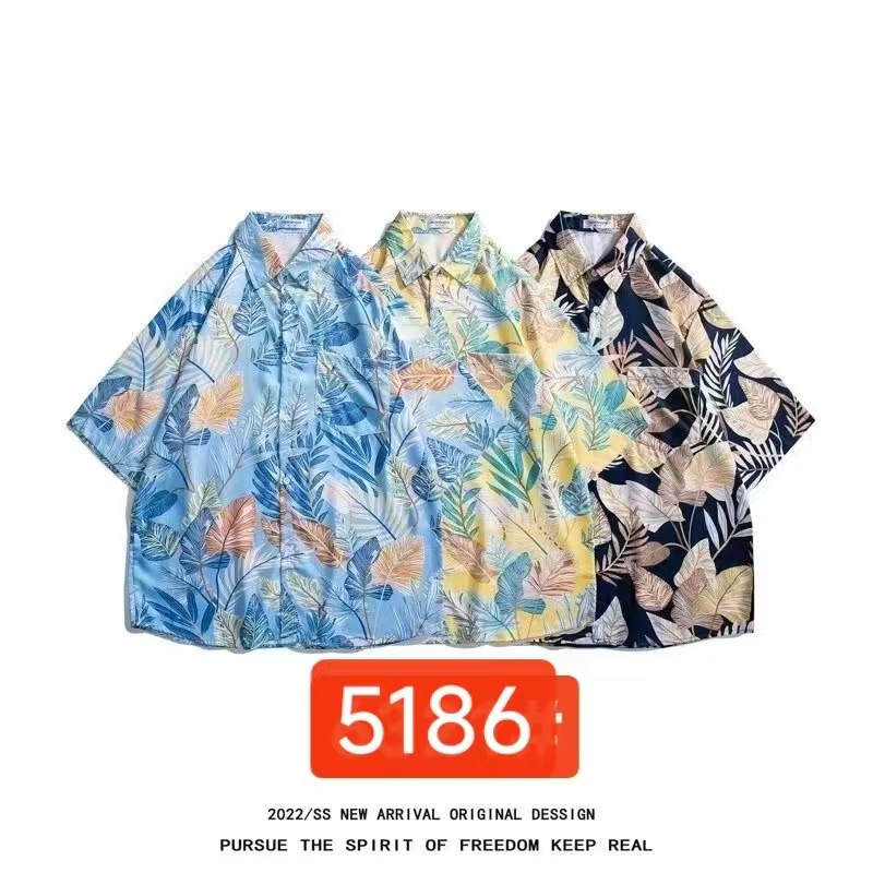 K5186 왼쪽 파란색