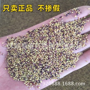 ���l���Ѽt���t���~�N�����ݵر�ֲ����Ѱ��²ݷN�Ӳ��Ѱlѿ�ʺ�