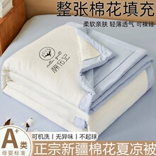 a类水洗棉夏凉被新疆棉可机洗 空调被夏被学生宿舍薄被子礼品批发