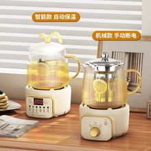 小型养生壶办公室煮茶壶迷你全自动煮茶器多功能小巧mini一人新款