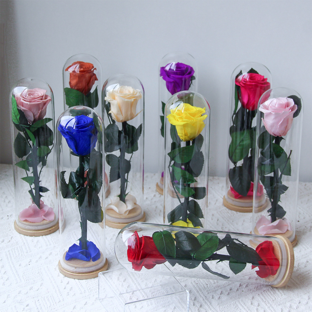 Flor inmortal Little Prince Star Sea Watchman una sola rama de rosa cubierta de vidrio Amazon Día de San Valentín Regalo del Día de la Madre