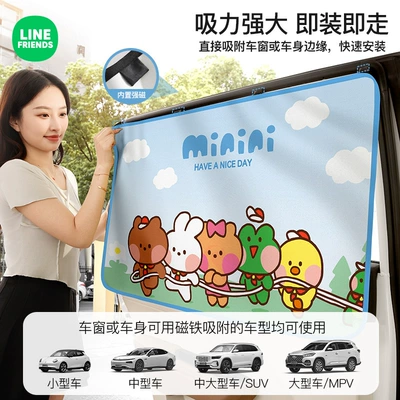Car curtains — and Children
