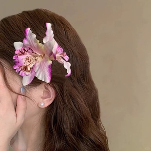 ������̩���m���^���l�A�������P�l�^���W�tɳ���ȼ����շ��滨