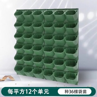 ���w��ֱ�G���䳲�Nֲ�@ˇ�ڒ�ʽ�����Р�ֲ����ϻ���M���o��