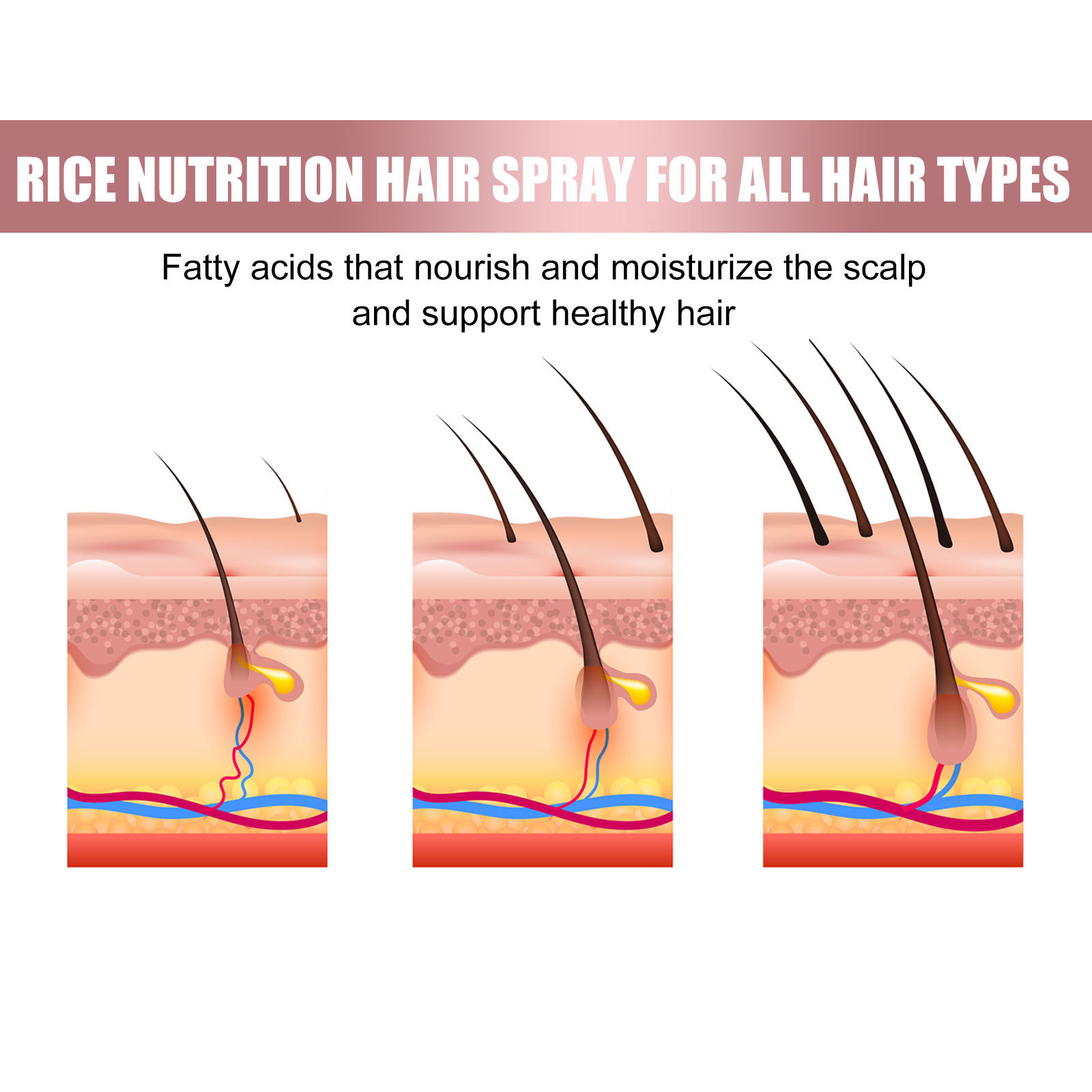 EELHOE Spray per spessore dei capelli al riso Forte riparazione dei capelli radice del follicolo pilifero prevenzione della caduta dei capelli spray per la cura dei capelli ispessimento dei capelli solidi_voghion.com