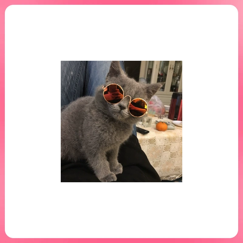 ✅Большое количество очков для домашних животных Кошка солнцезащитные очки Собака солнцезащитные очки Тедди сексуальная забавная головная уборка с домашними животными
