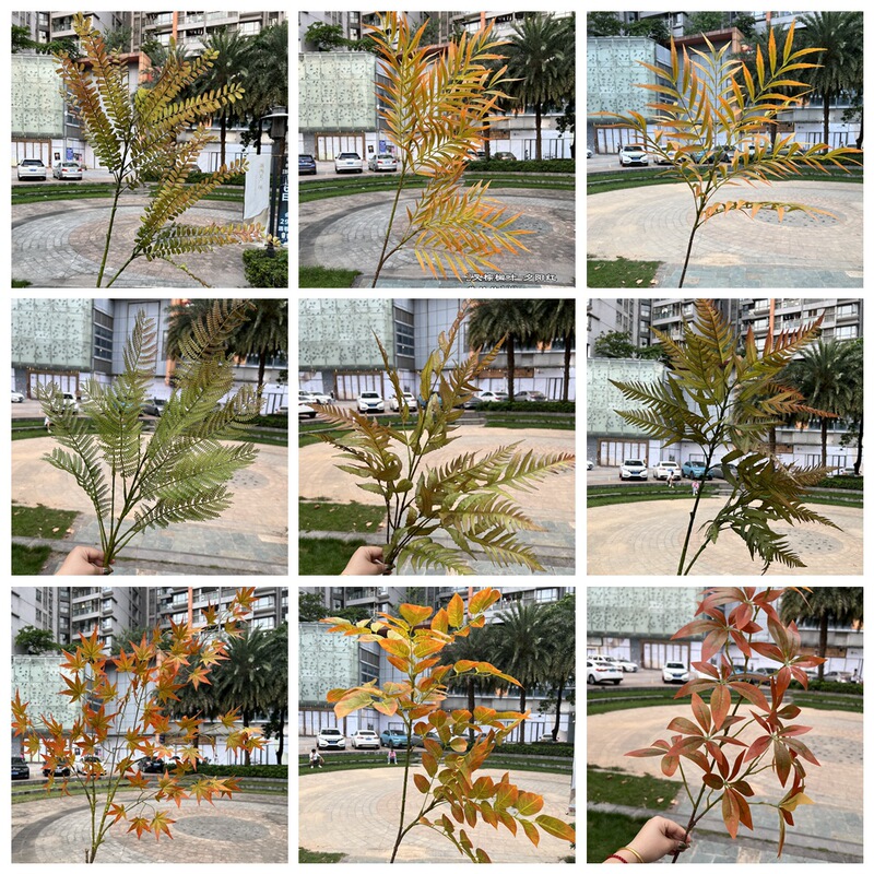 Autumn simulation green plant foreign trade manufacturers autumn green maple leaf fern leaf money leaf wedding home layout green leaf wholesale