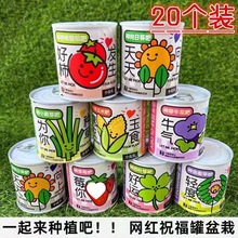 ��ͯ���^����С���ԶY��������������Gֲ��ݮ���տ��Nֲ�N��ä��