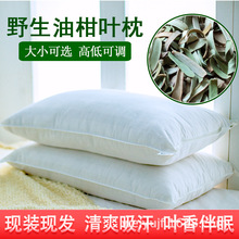 �͸��~���^ȫ�޳����w�����^о�͸��~��ţ�����ͽ��~���rֲ����о