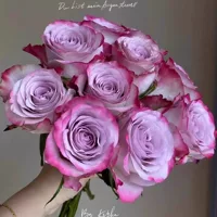 Цельный дропшиппинг, саженцы розы, цветущие розы, цветы в горшках, вьющиеся растения, лозы, саженцы роз, зеленые растения