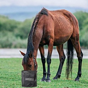 �W��ιʳ���W���Rιʳ�� ��ߴ��R��ϴ�ιʳ�����{����С