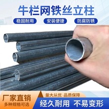 加厚尖头围栏立柱杆铁丝网围栏镀锌钢管圆管方管支撑杆爬藤架支撑