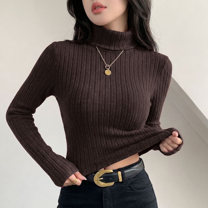 Cross-Border Autumn and Winter New Style Women's High-Neck Knitted Slim-Fit Fashionable Long-Sleeve Versatile Base Shirt Top for Women Trendy