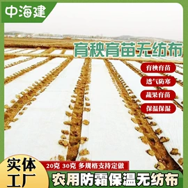 纺粘无纺布;防潮材料;土工布