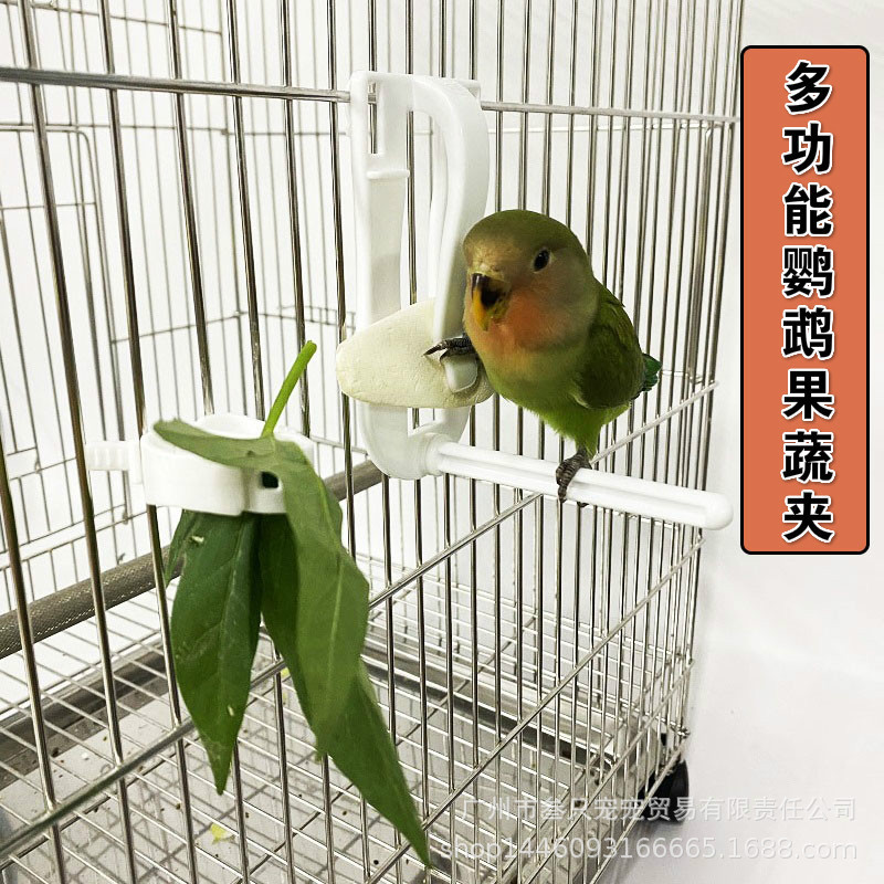 鸚鵡蔬菜夾子水果叉墨魚骨鳥用多功能固定夾鸚鵡用品零食水果叉