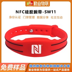 DTB-SW11 調整可能なパッシブ防水 NFC ブレスレット高周波 ID 識別リストバンド RFID シリコンリストバンド