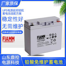 FIAMM非凡12SP140铅酸免维护蓄电池12V140AH宾馆光伏系统安装维修