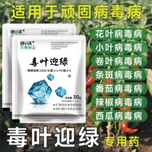 ���~ӭ�G���������b���I���t�������S�����Ѿ��~�S�~���~С�~���~