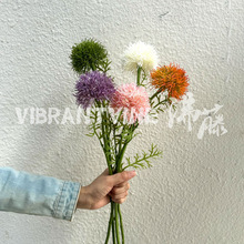 ����̻������c��Y�ò��üّ������ՔzӰ���߼ҾӲ��Ô[��