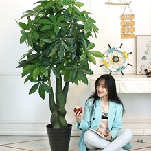 �lؔ��Gֲ�������Կ͏d�҃Ȼ��٘�[�O�쾰���������辰