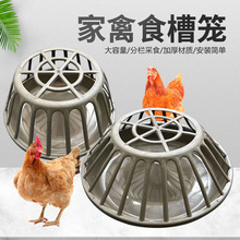 ����uʳ�� ��ɫɢ�B�uι��ιʳ���������Ͱ���������uʳ��ţ��