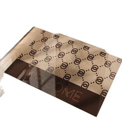 Avtomobil döşəmə paspasları, Glass Anti-Slip Foot Mat Entrance