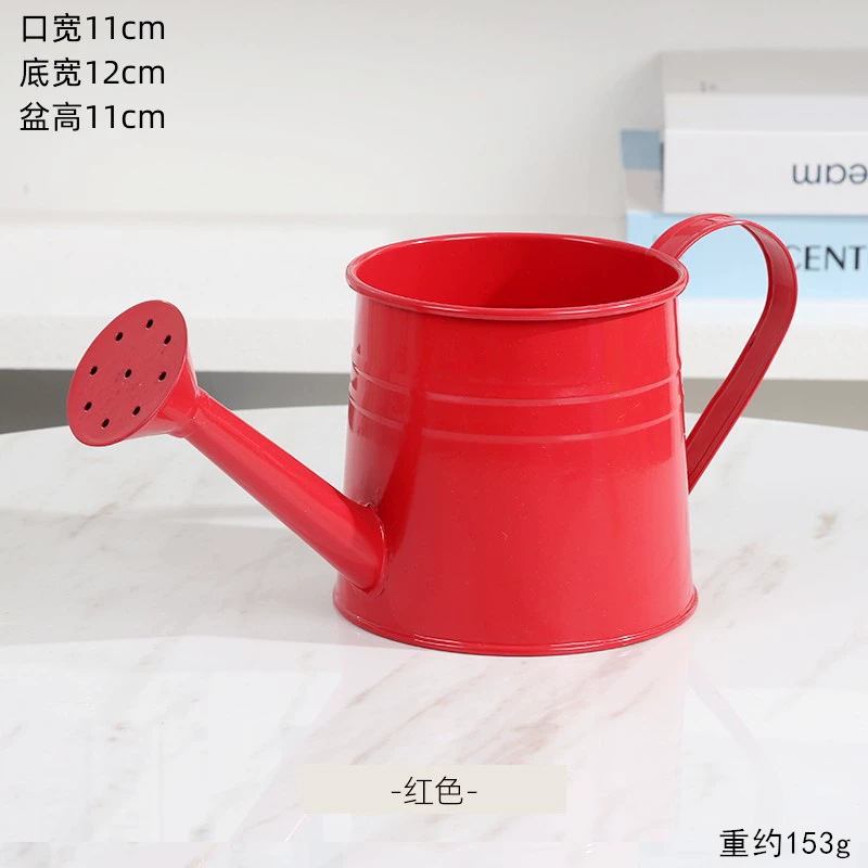 Regadera de hierro de colores vibrantes para jardinería, regadera al por mayor para floristerías, flores frescas, ramos, arreglos florales y exhibiciones florales.