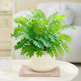 ���߲�С���Ի����҃��ֲ̨�ﺦ�߲ݳ�Ʒ�玧��Ȥζ�Gֲ�^�~����