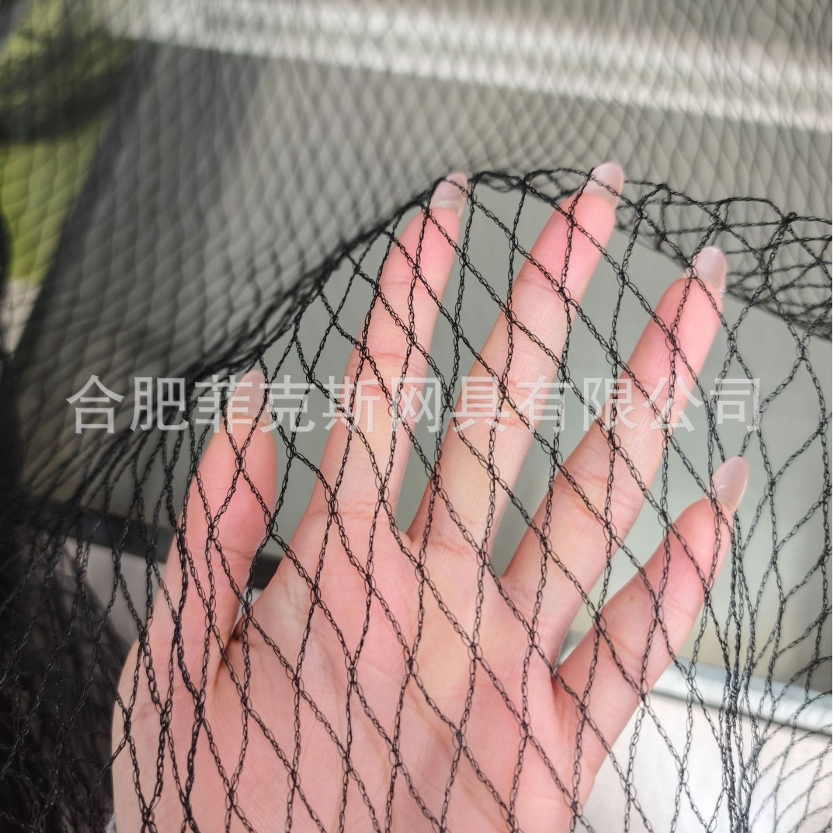 防鸟网庭院葡萄樱桃果树大棚黑色聚乙烯挤出防鸟网1.5网孔防护网