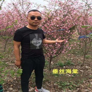 �a��ֱ�N �������Ę��� С�� ���z���Ę��� �N�����Ļ��^��ֲ��