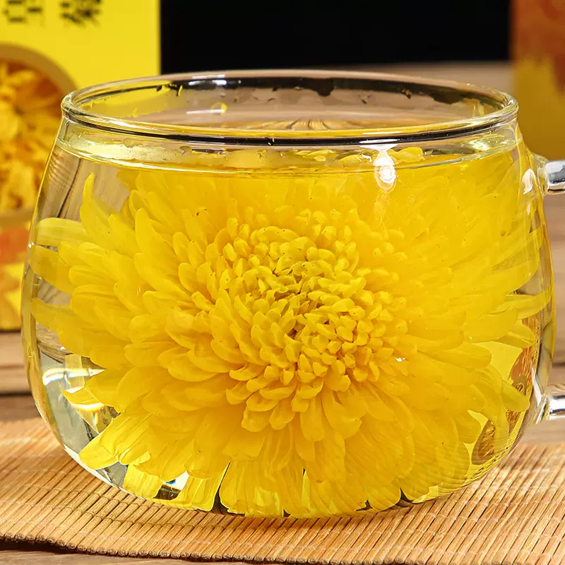 大朵菊花茶叶金丝皇菊黄菊大胎菊黄菊花贡菊一朵一杯婺源皇菊