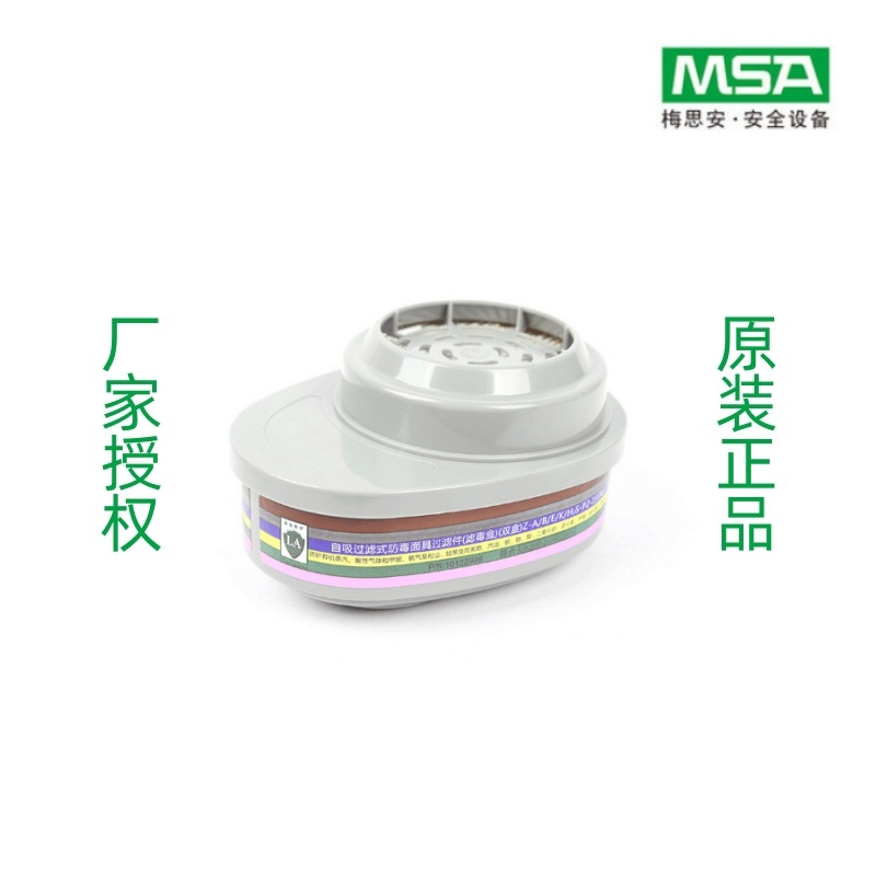 梅思安MSA 10120762 GME-P100防护多种毒气和粉尘