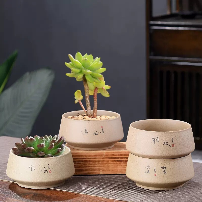 Moneywood Old Pile Fleshy Plant Flower Pot Indoor asparagus tabletop small green plant ceramic plant flower pot container