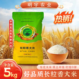 2026�����L������׶Y�д���5kg�b�L���׏S�����l����r��