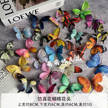 Сt滨DIYbĪλ@Lm^