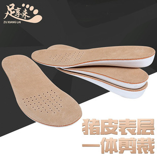 iƤЬ|\ӃЬ|ɲüiƤ[߉|Ь|l