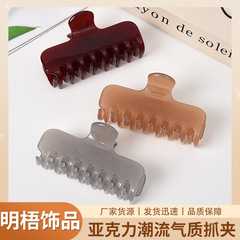 高級ミディアムポニーテールヘアクリップ、ネットセレブ気質アクリルシャーククリップ、後頭部クリップ、ヘアクリップ