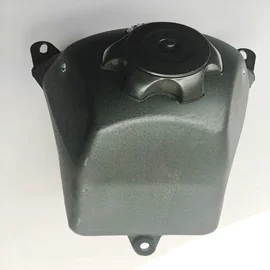 沙滩车;其他摩托车;其他电动车