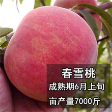 ��Ѫ���Ҙ������޽��������¼t������ͥԺ�ϱ��Ϸ��Nֲ����Y��