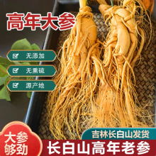 长白山人参高年人参25支干参新鲜老参干货东北生晒参人参礼盒