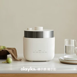 油壶;野餐炉具;电压力锅