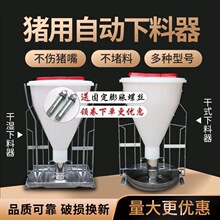 大小猪干湿两用自由采食槽自动下料加厚不锈钢猪食槽猪用自动料槽
