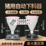 下料两用加厚干湿采食槽
