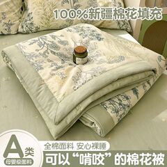 A類の中の外の全綿100新疆綿綿綿の夏の涼しさは4セットの綿の漫画のエアコンに学生の寮の薄い布団にかけられます。